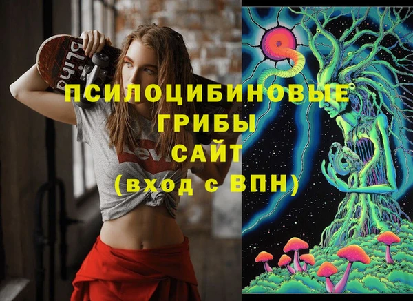 МДПВ Бугульма