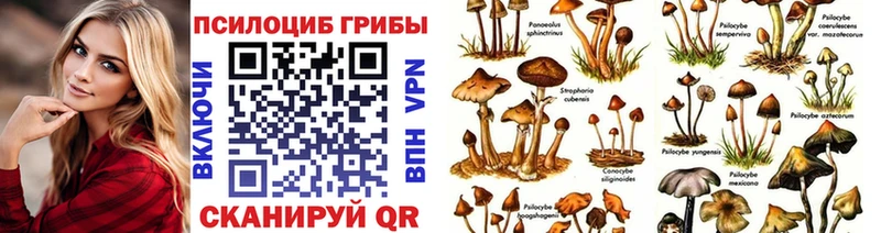 это формула Приволжский Псилоцибиновые грибы GOLDEN TEACHER